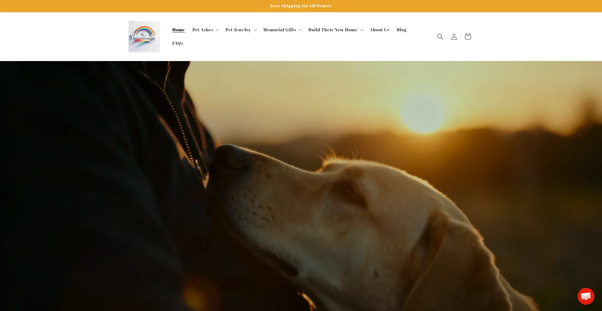 Peteverlasting.com