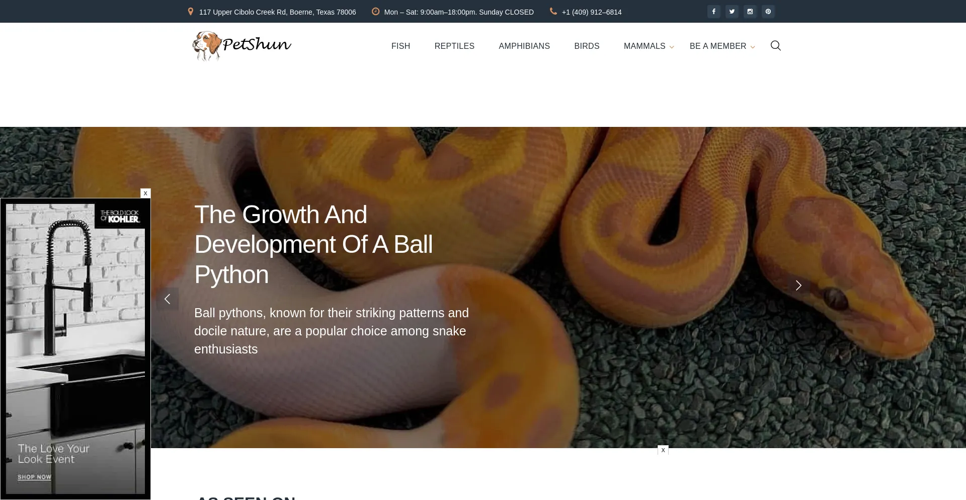 Website screenshot of Petshun.com
