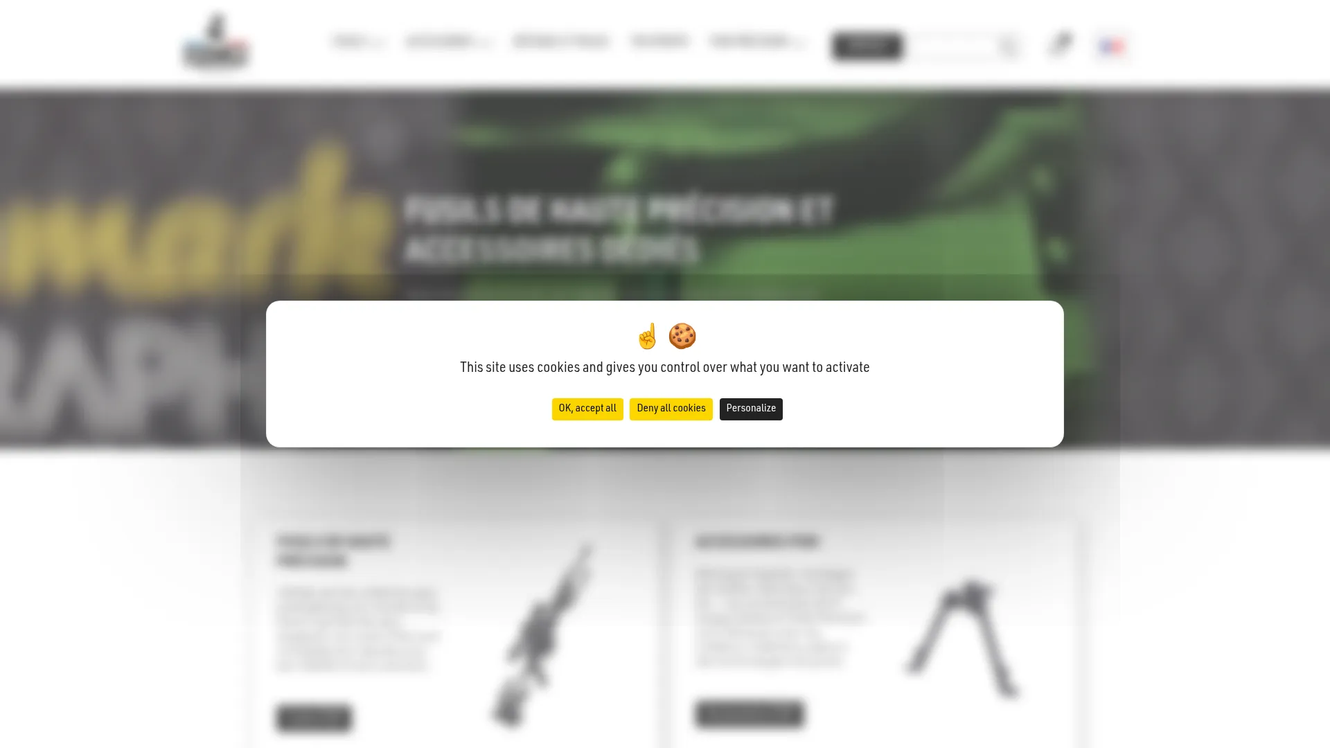 Pgmprecision.com