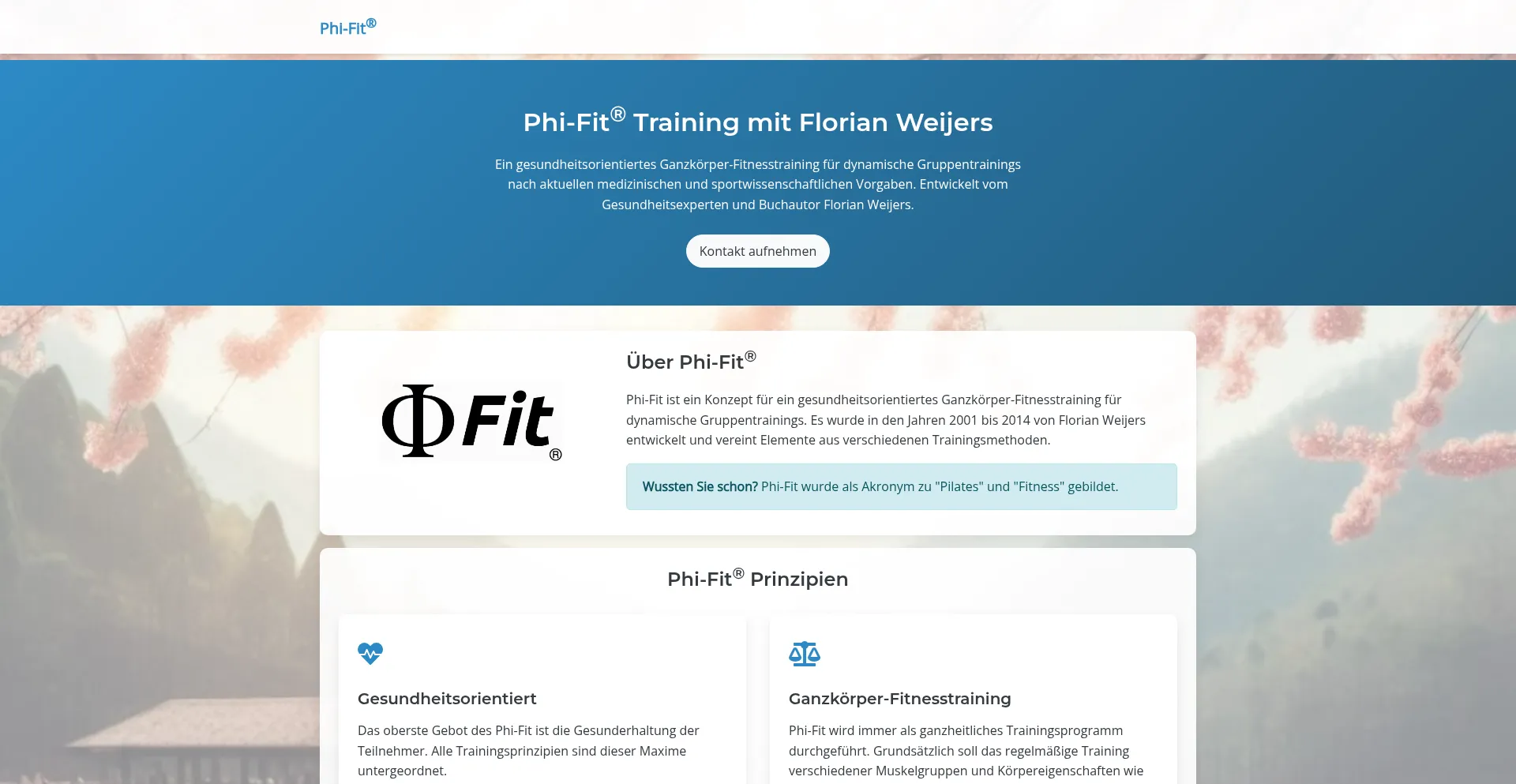 Website screenshot of Phi-fit.de