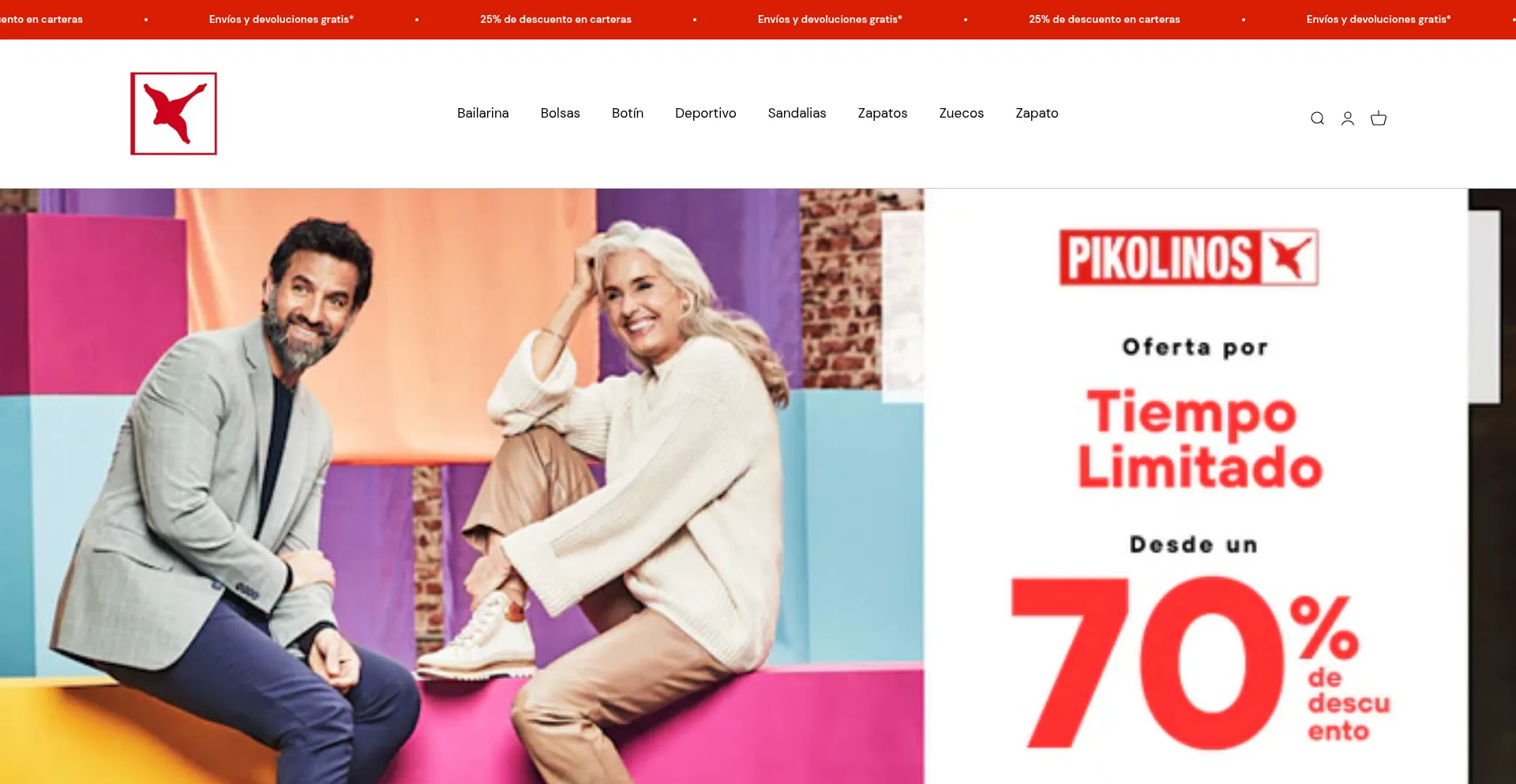 Website screenshot of Piko-es.com