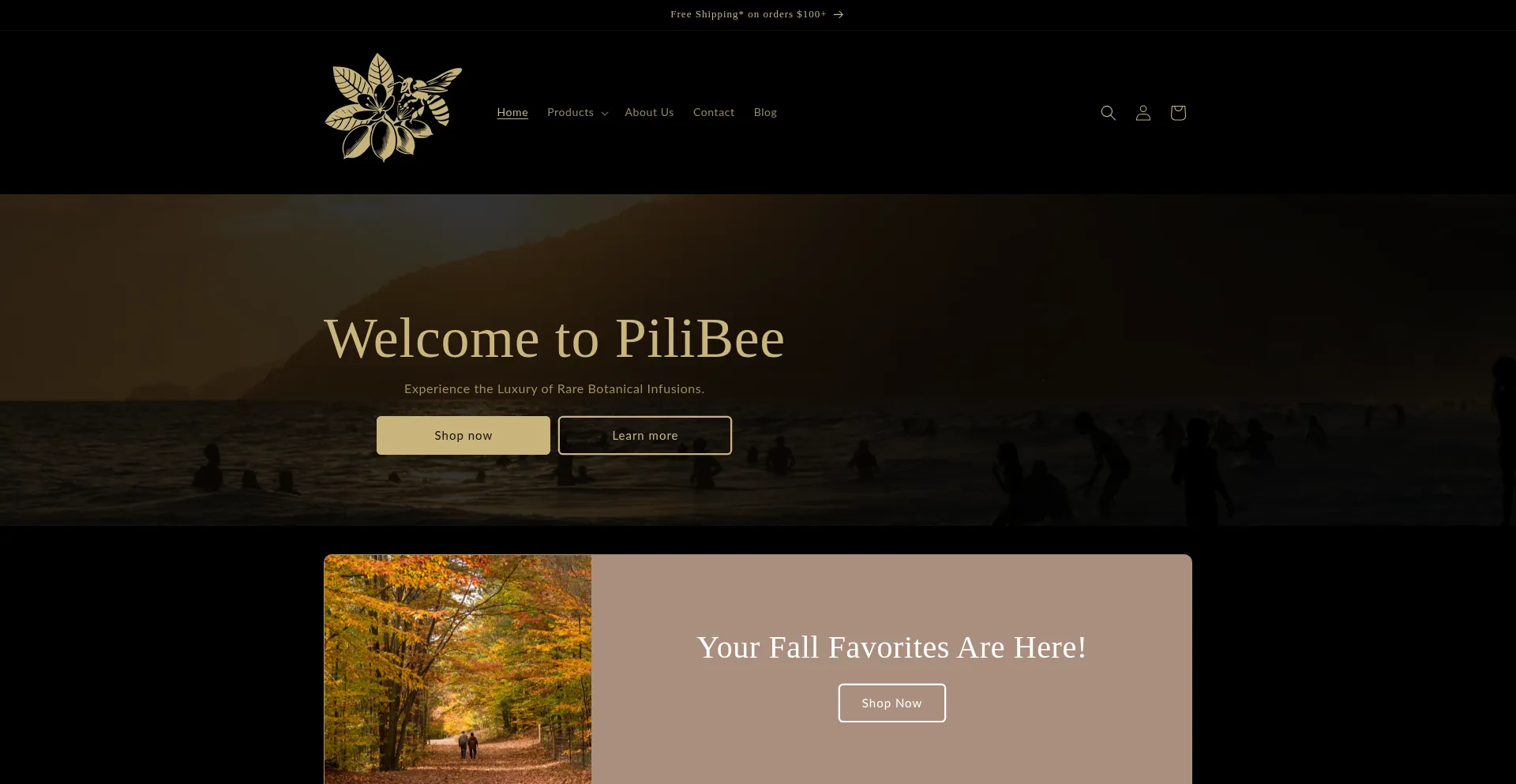 Website screenshot of Pilibee.com