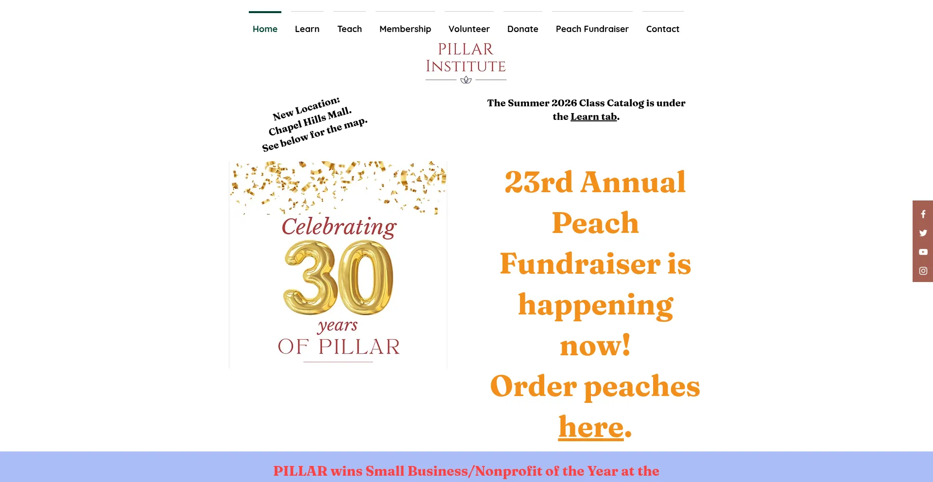 Pillarinstitute.org