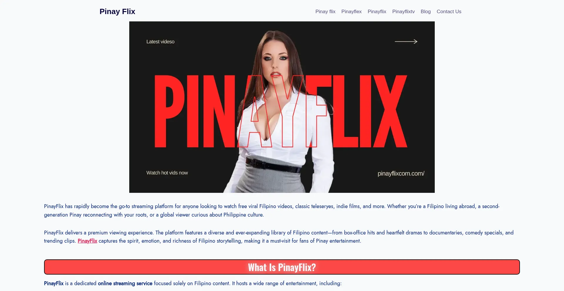 Pinayflixcom.com