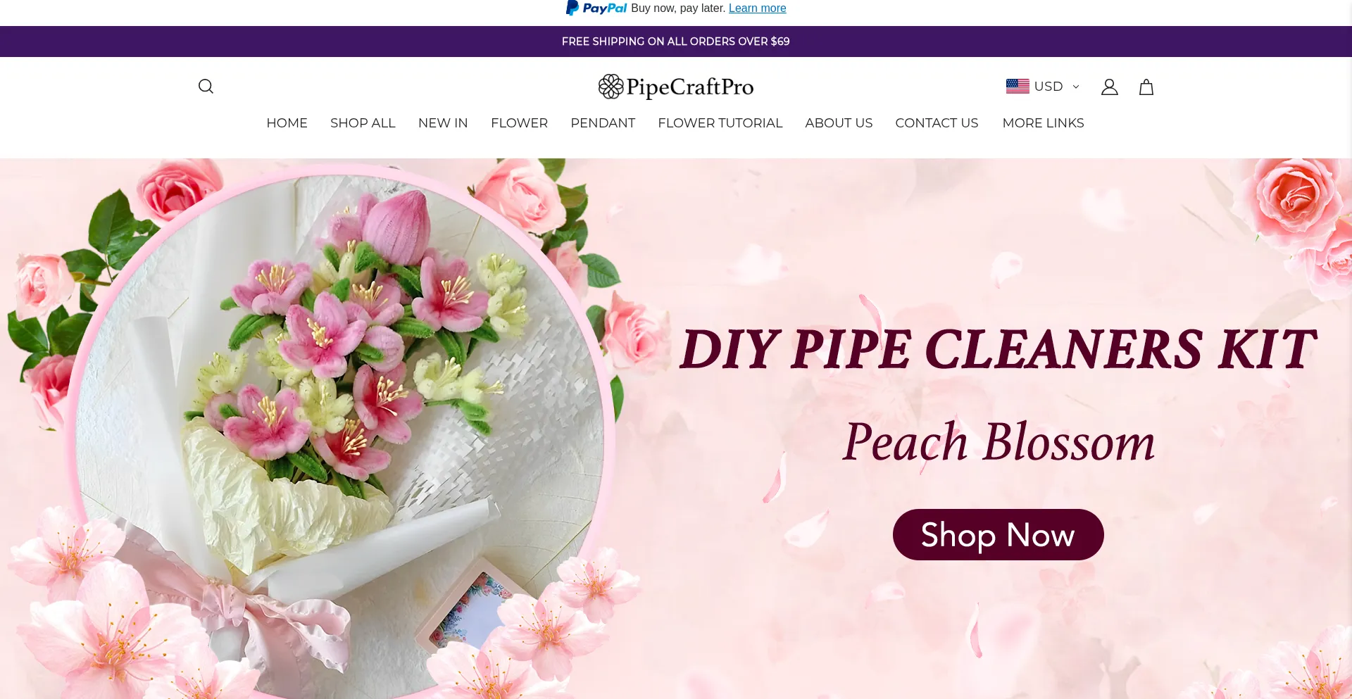 Website screenshot of Pipecraftpro.com