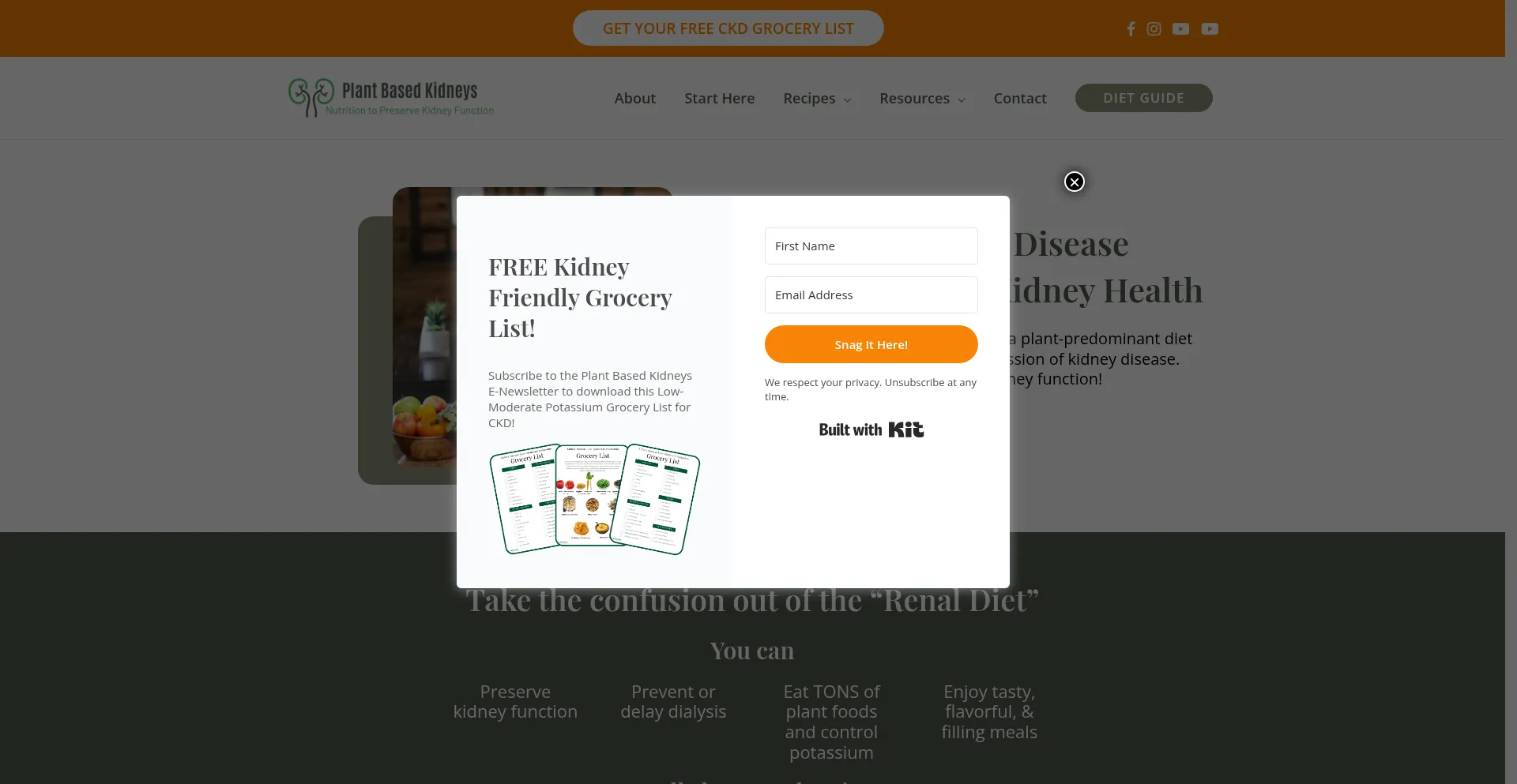 Plantbasedkidneys.com Screenshot