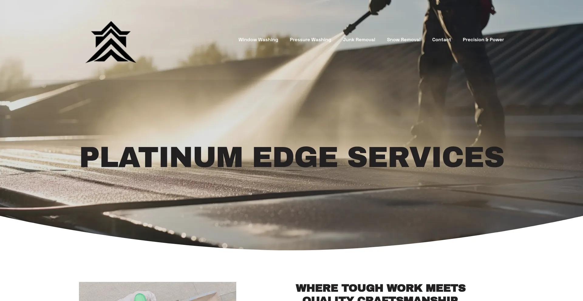 Website screenshot of Platinumedgeservices.com