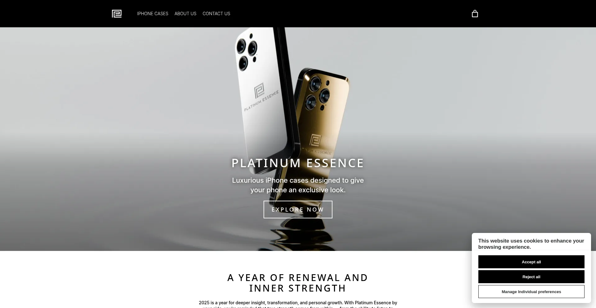 Website screenshot of Platinumess.co.uk