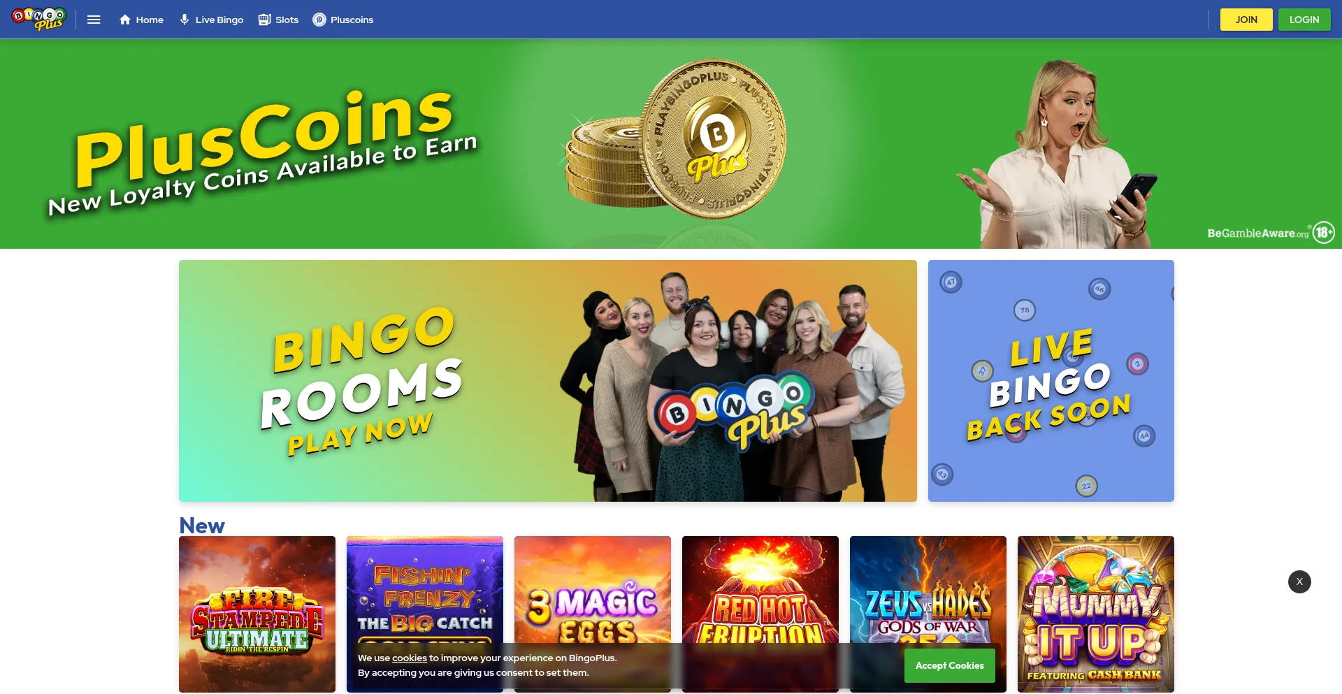 Playbingoplus.com