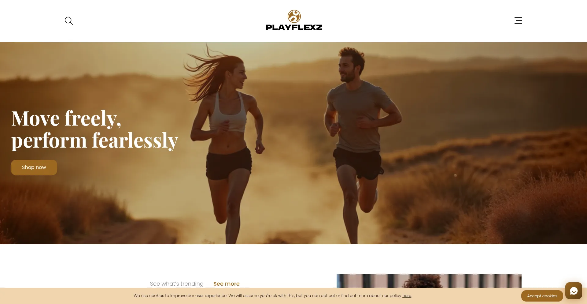 Playflexz.com Screenshot