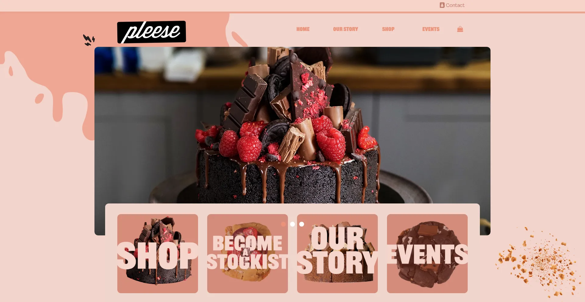 Pleesecakes.com