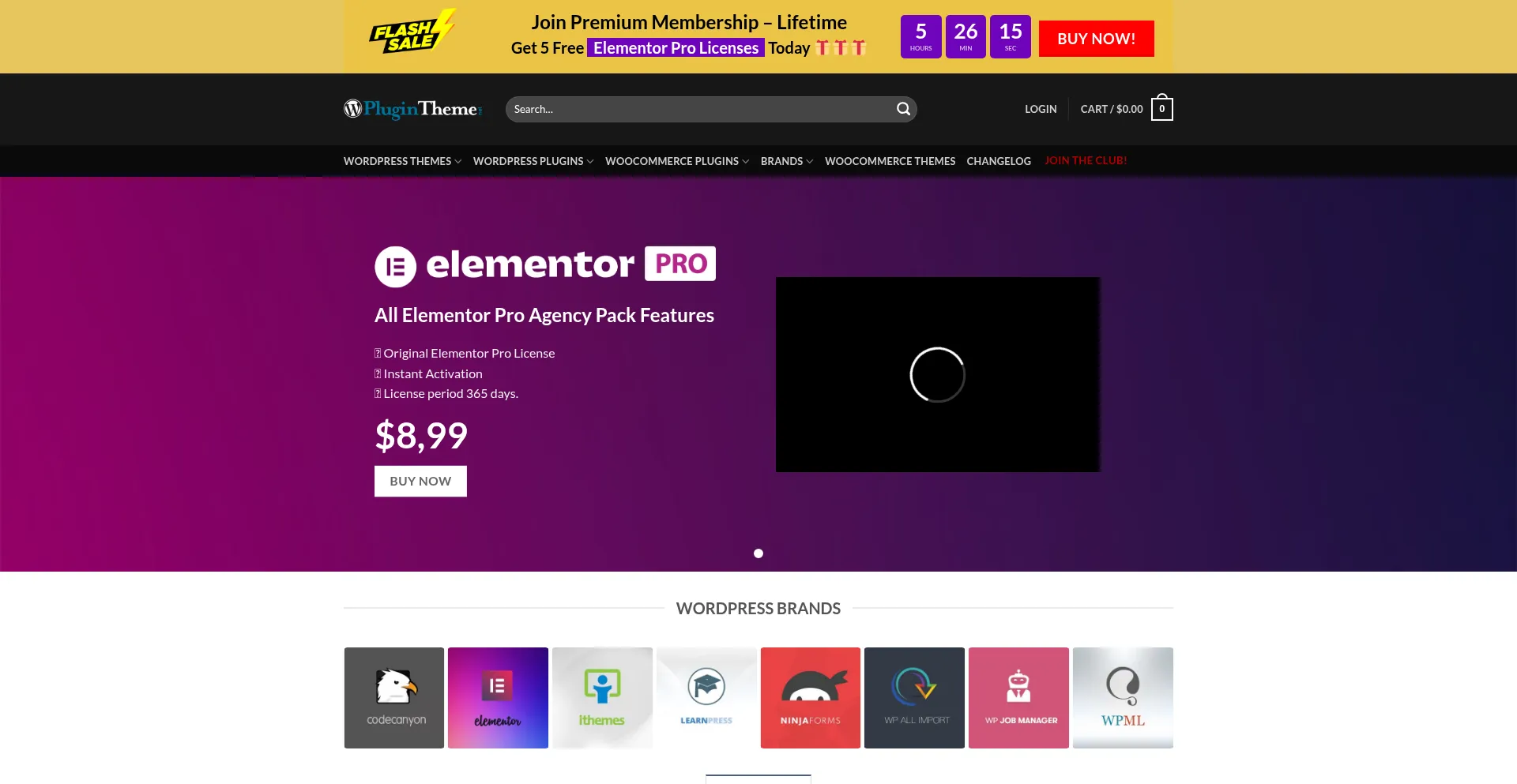 Website screenshot of Plugintheme.net