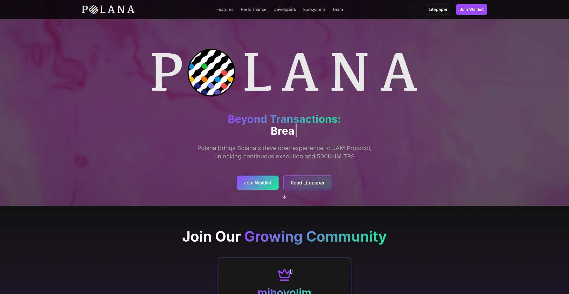 Polana.network