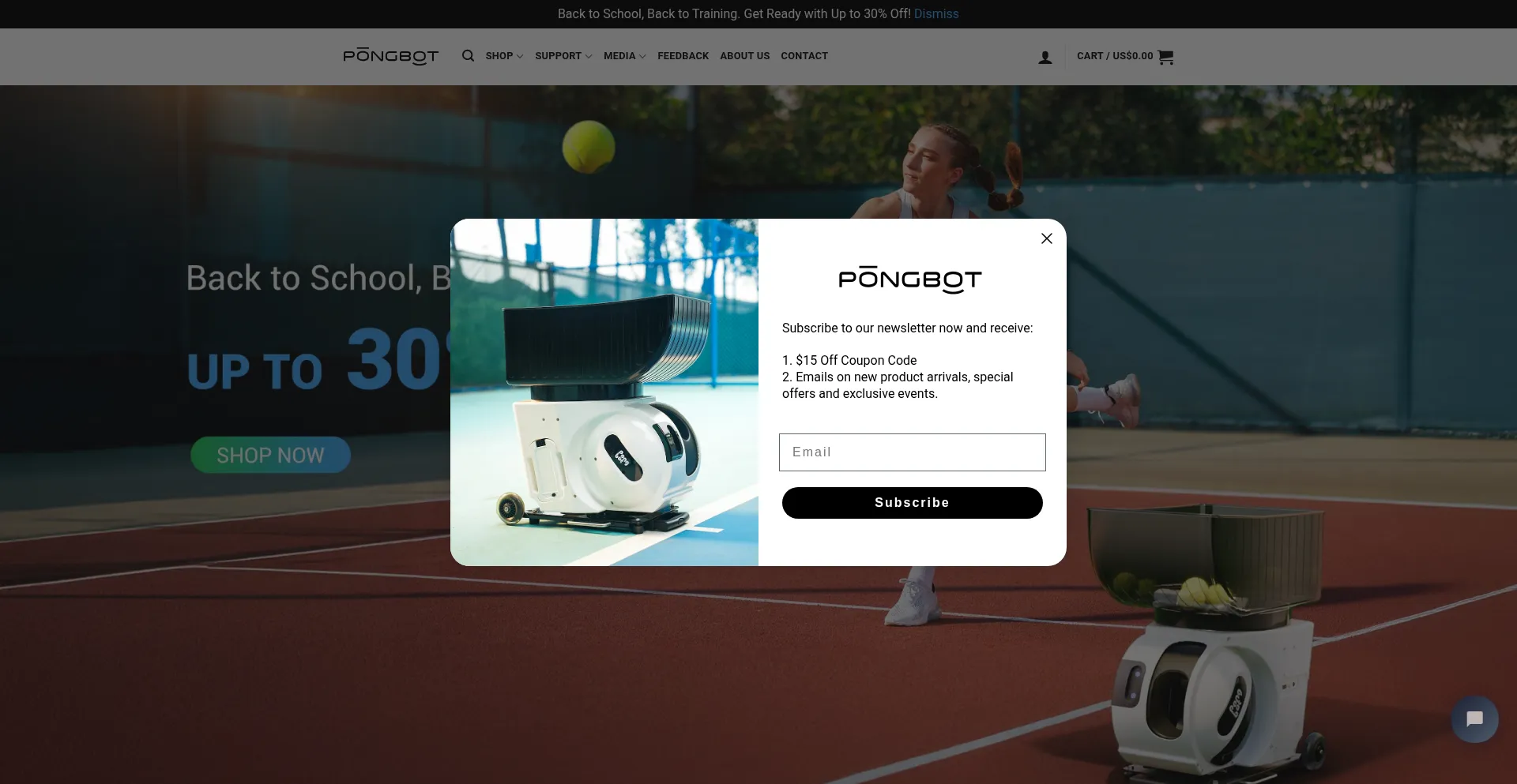 Pongbotstore.com Screenshot