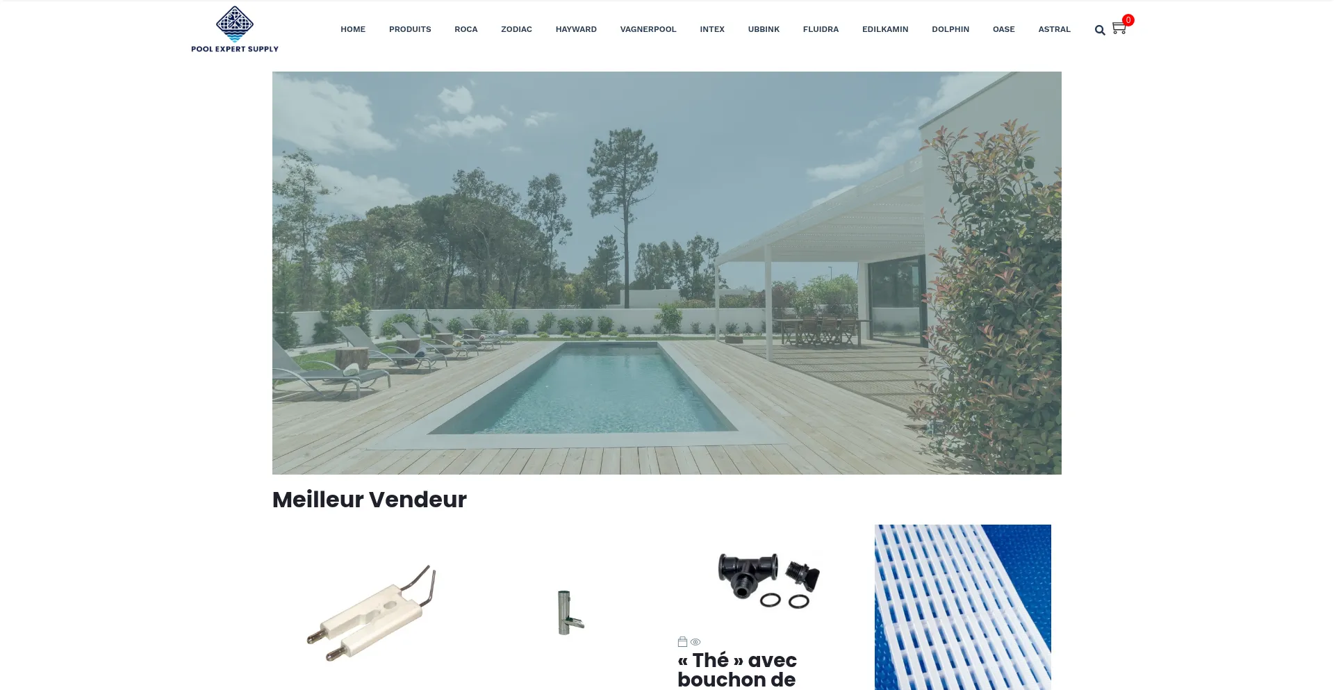 Poolexpertsupply.com