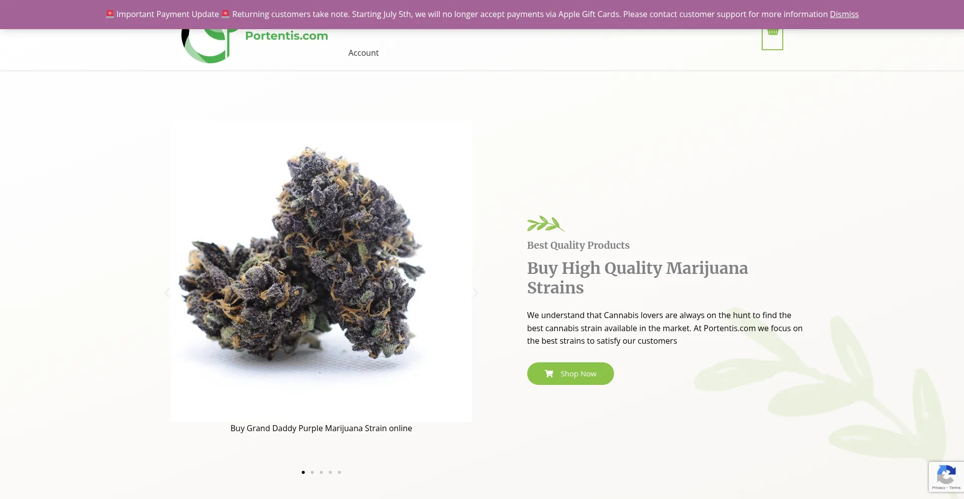 Website screenshot of Portentis.com