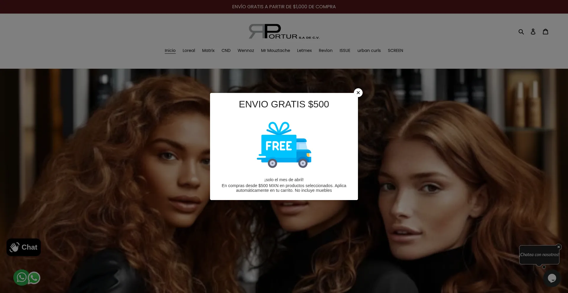 Portur.mx Screenshot