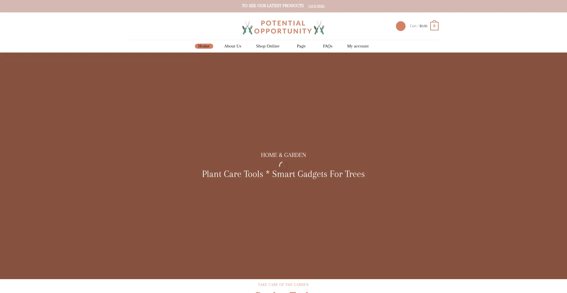 Website screenshot of Potentialopportunity.org