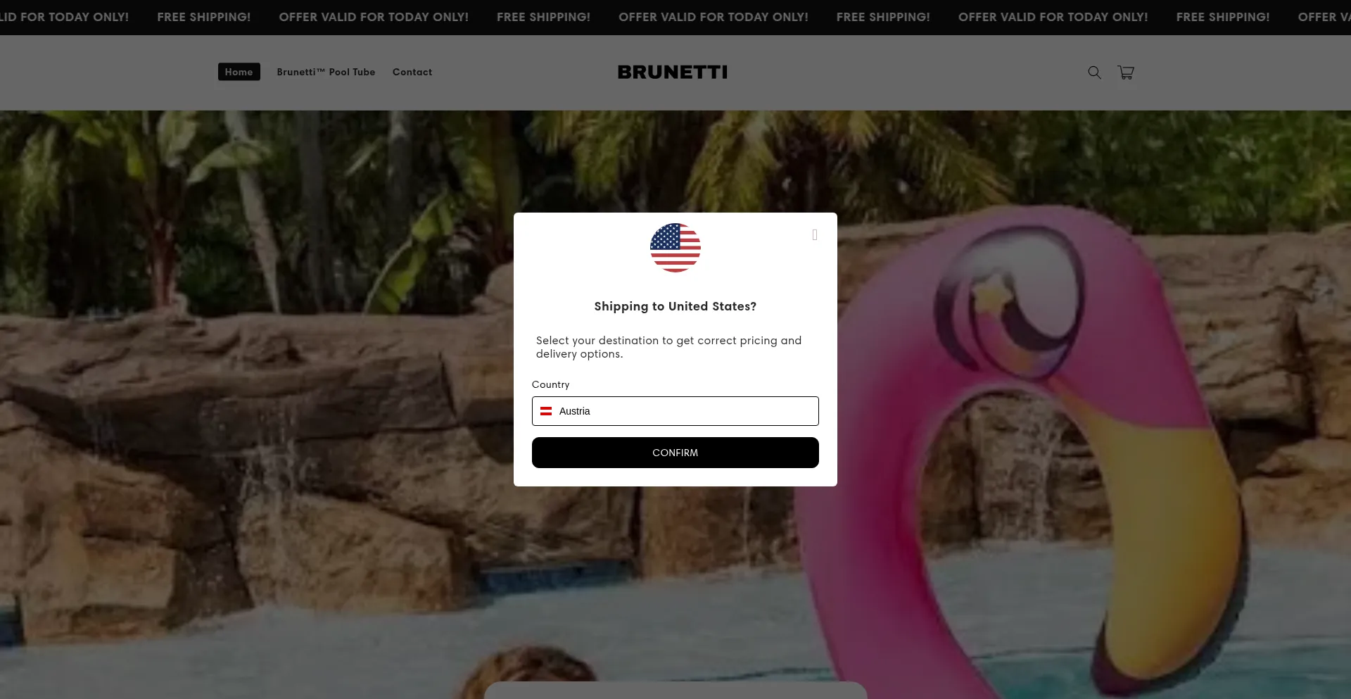 Website screenshot of Poublier.com