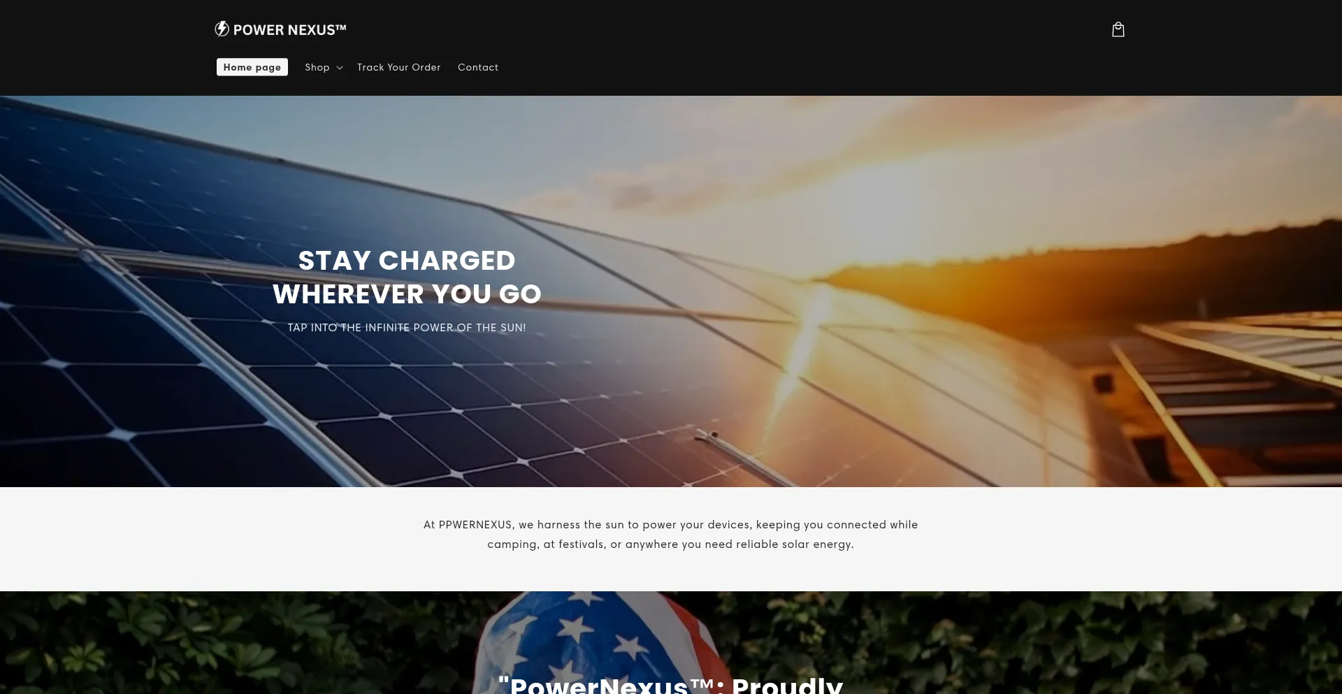 Website screenshot of Powernexususa.com