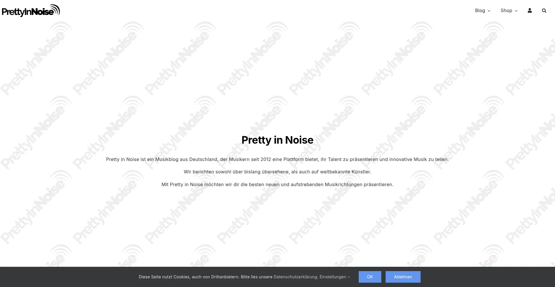 Website screenshot of Prettyinnoise.de