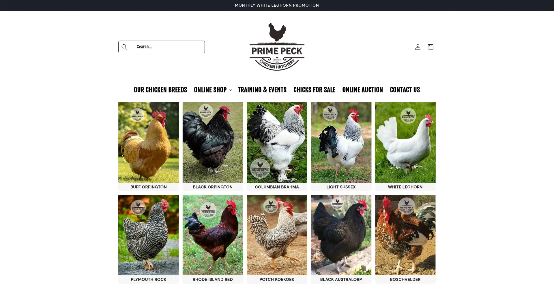 Primepeck.co.za