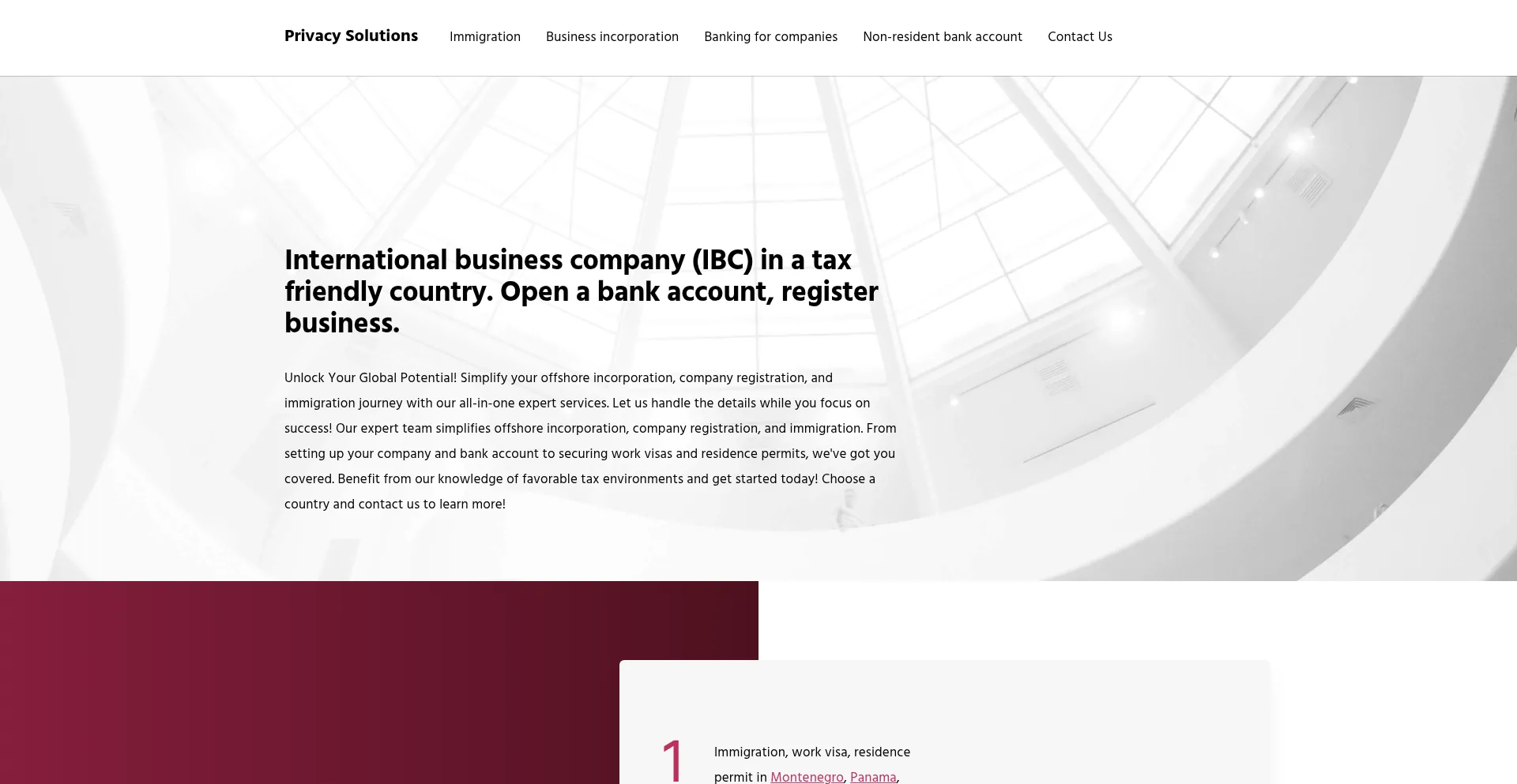 Website screenshot of Privacy-solutions.com