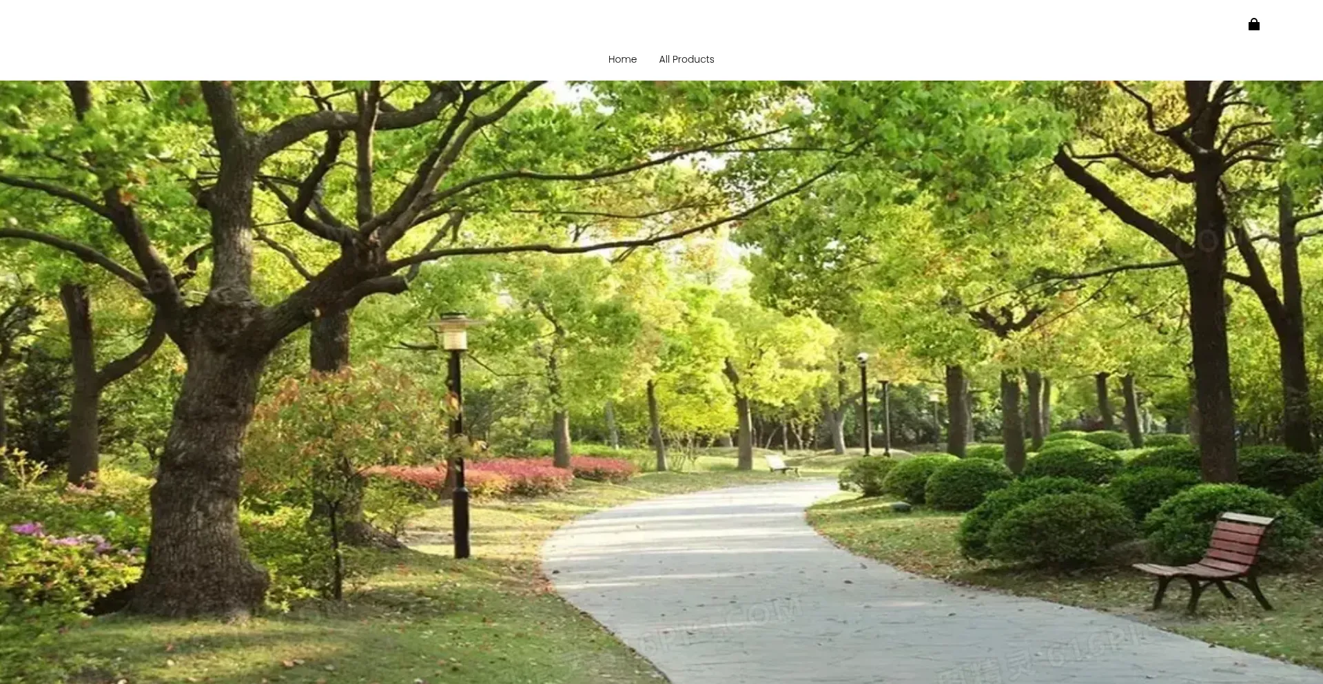 Website screenshot of Privala.online