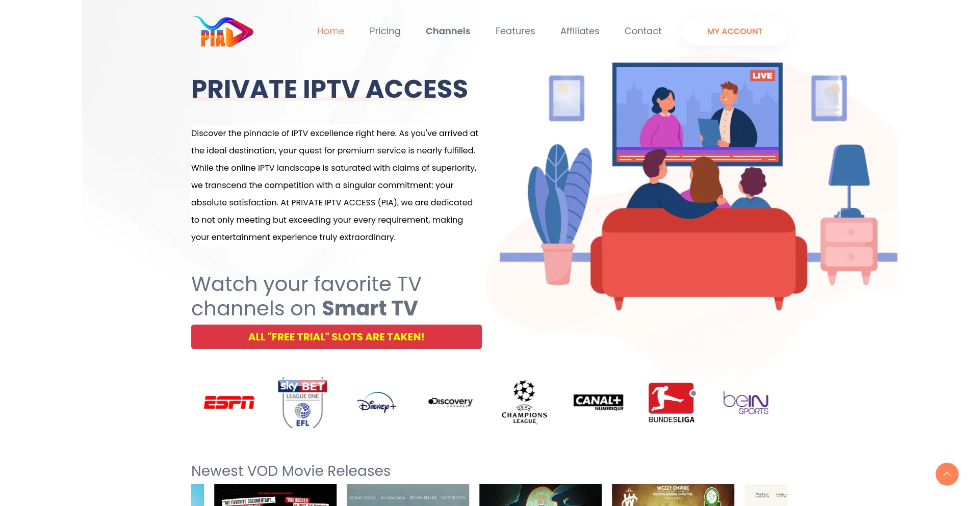 Website screenshot of Privateiptvaccess.com