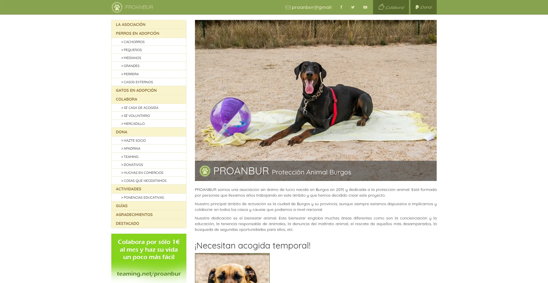 Proanbur.com 安全可靠吗？