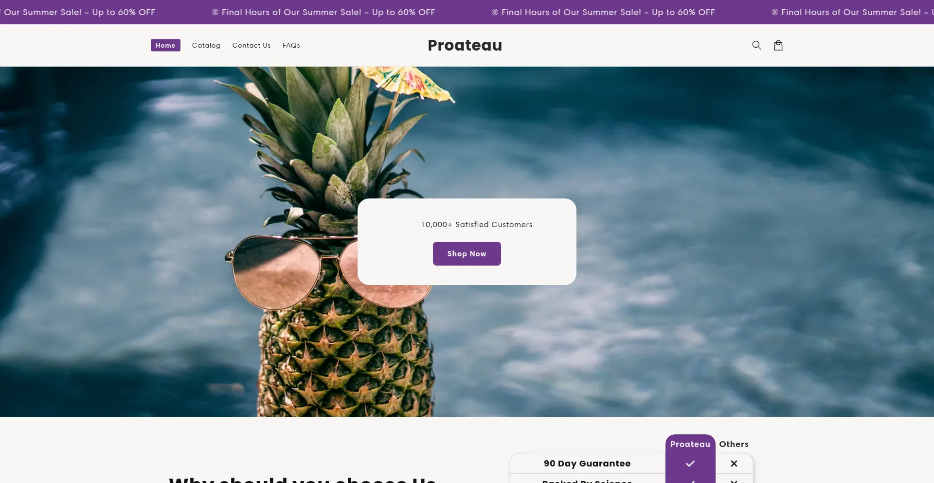 Website screenshot of Proateau.com