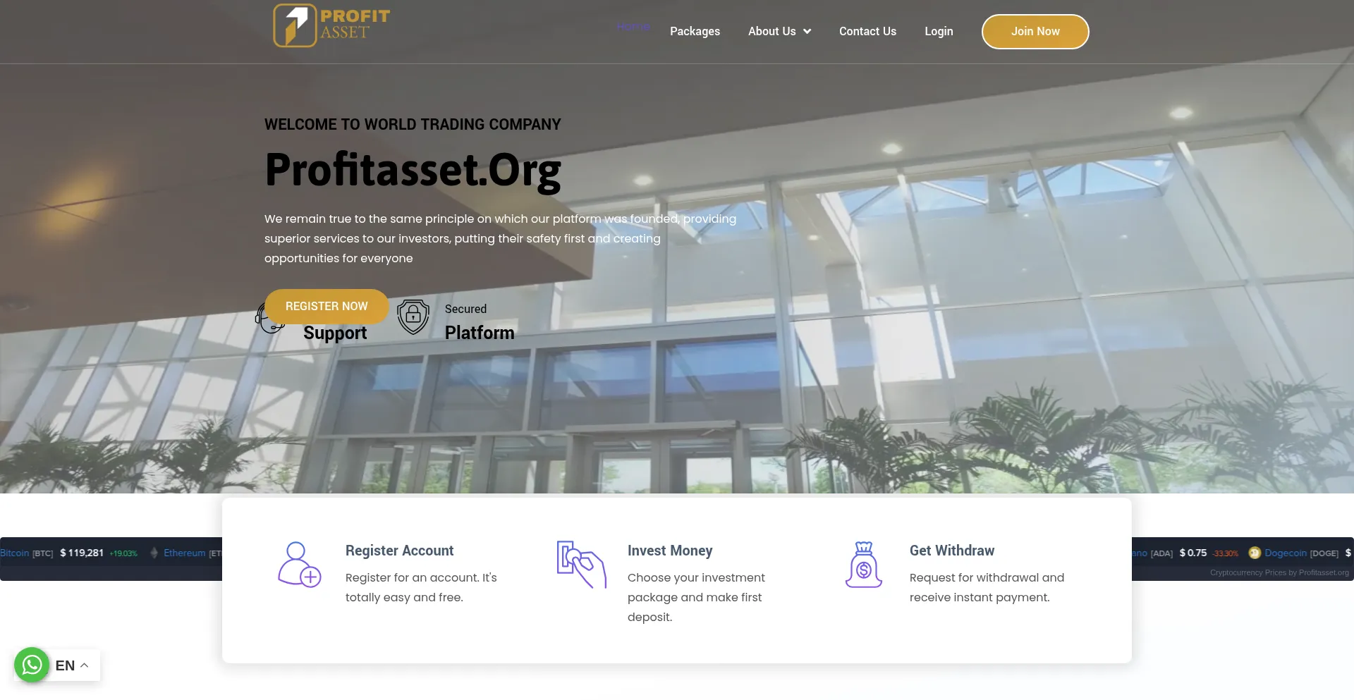 Website screenshot of Profitasset.org
