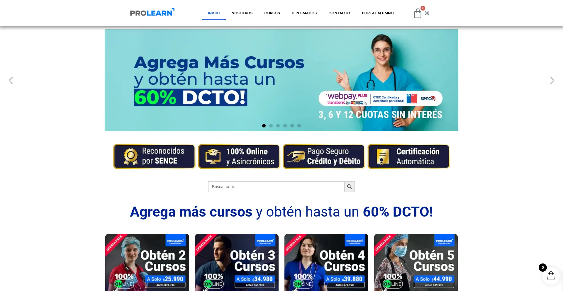 Website screenshot of Prolearn.cl
