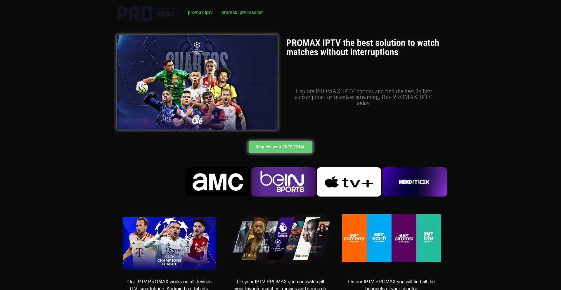 Promax-iptv.net