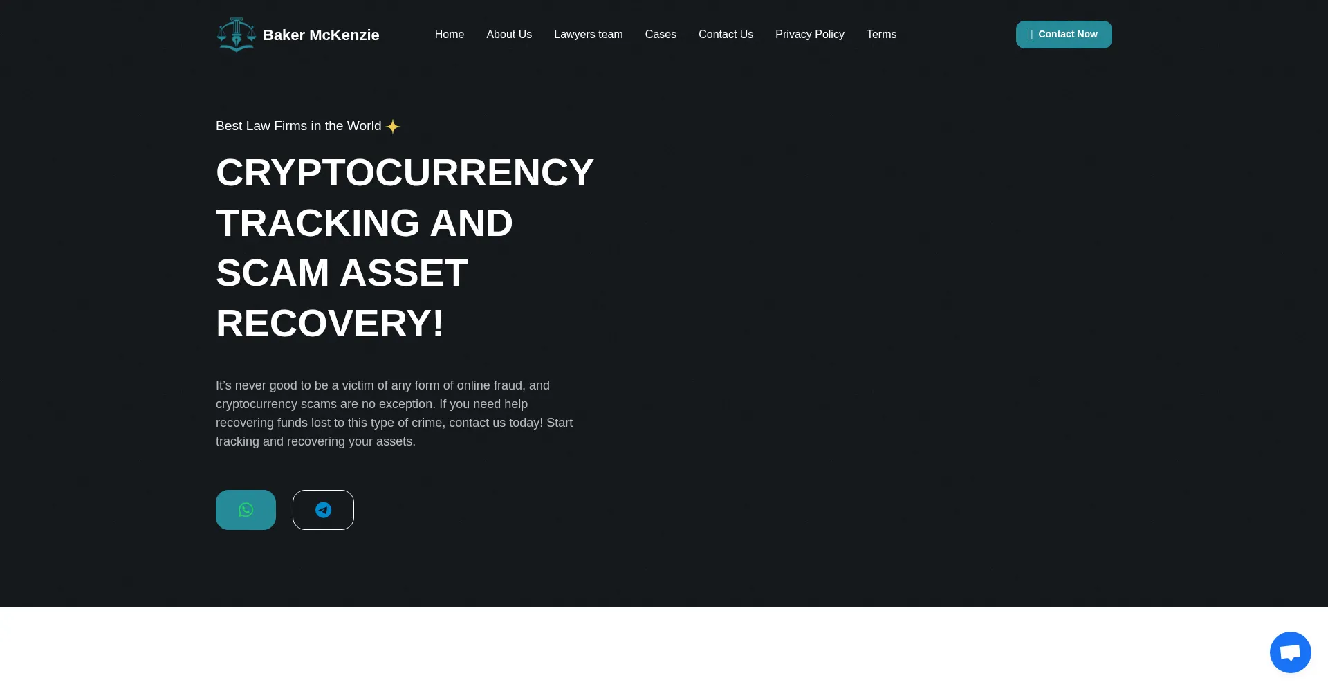Website screenshot of Propertyrecoverycenter-baker.com