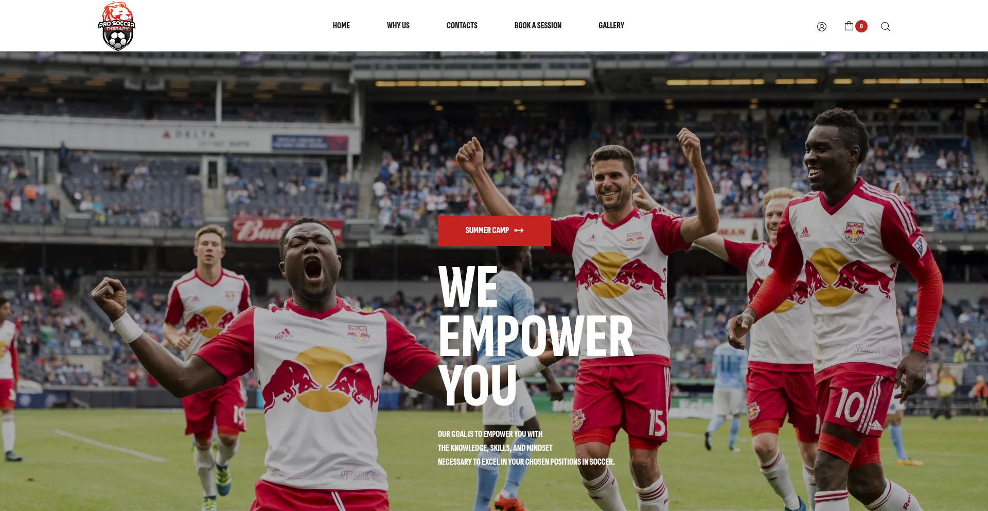 Website screenshot of Prosoccertherapy.com