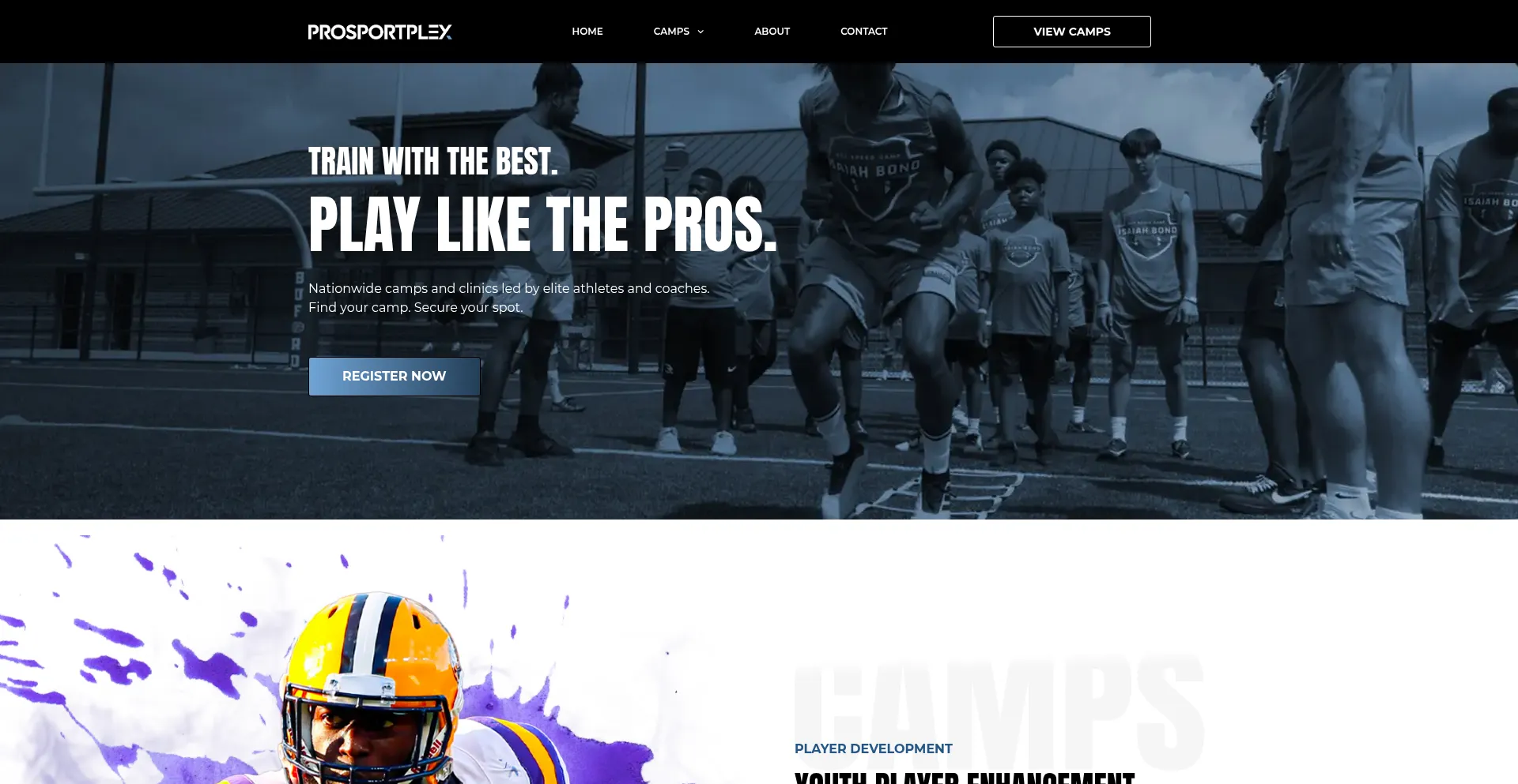 Website screenshot of Prosportplex.com