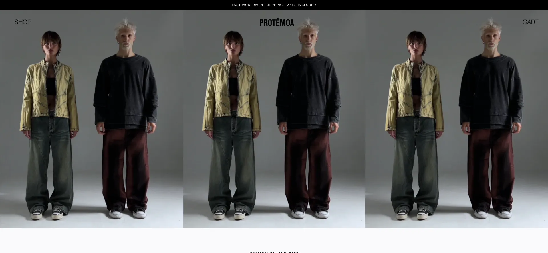Website screenshot of Protemoa.com