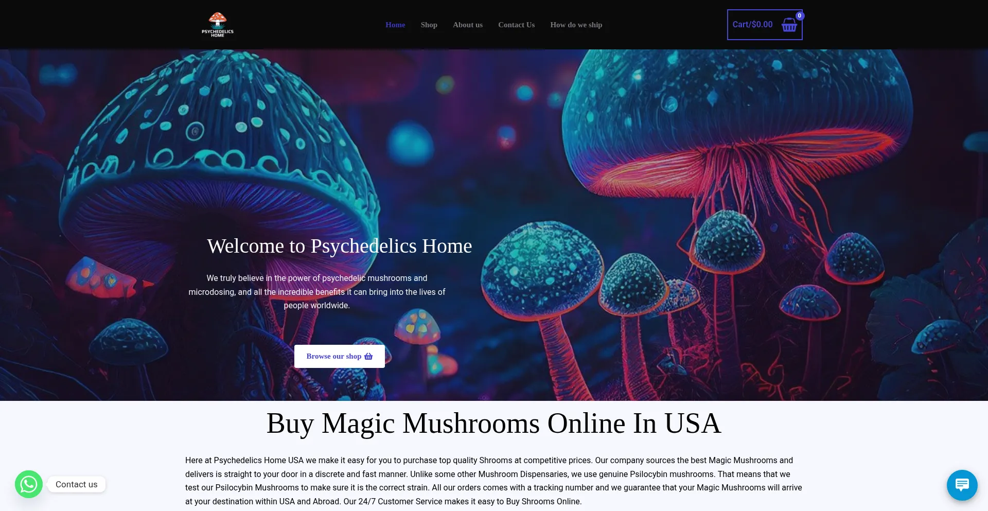 Website screenshot of Psychedelics-home.com