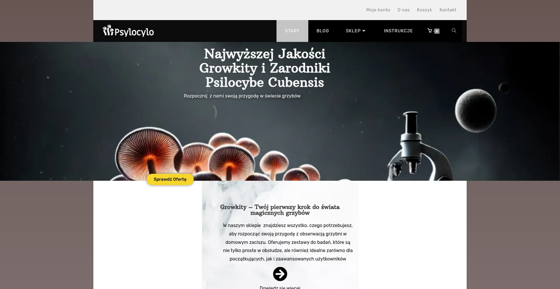 Website screenshot of Psylocylo.pl