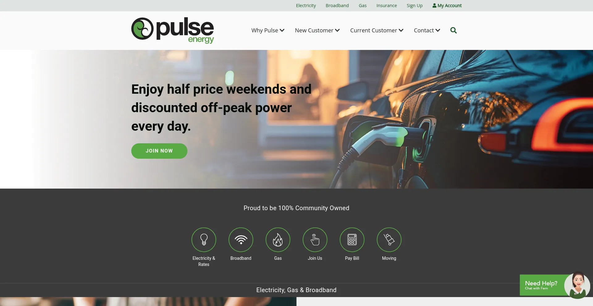 Pulseenergy.co.nz Screenshot
