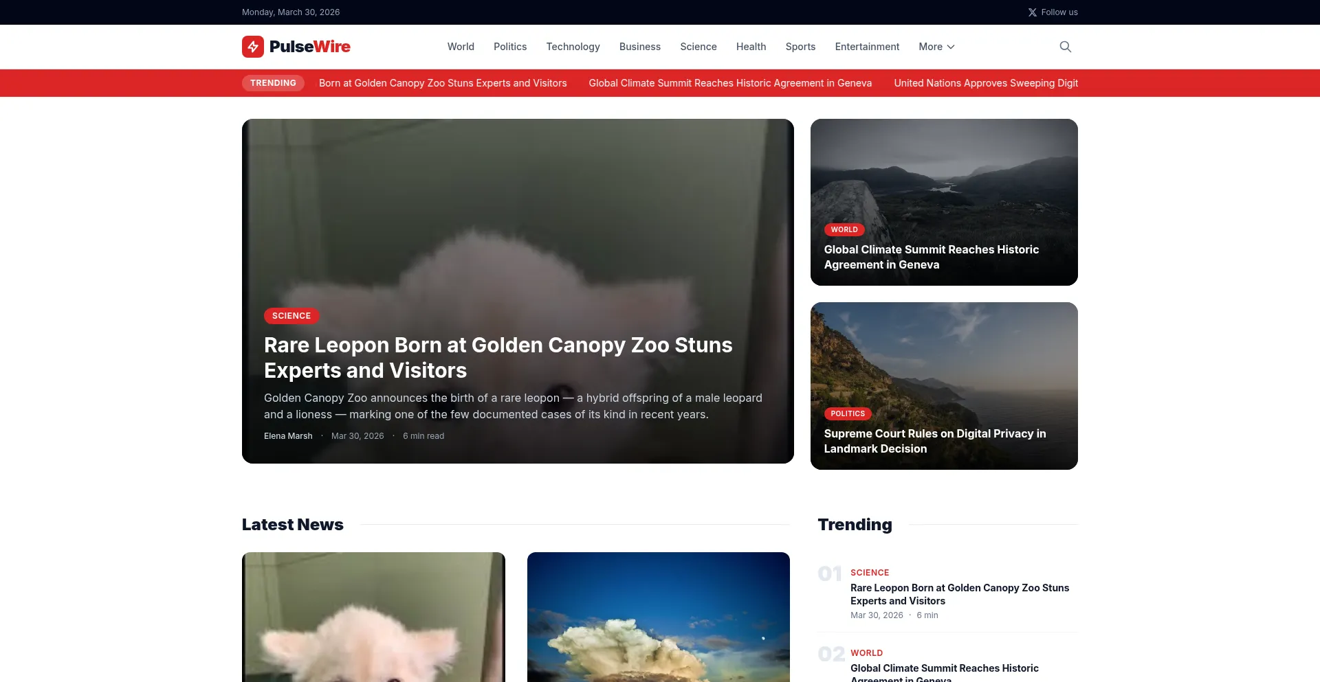 Pulsewire-news.com