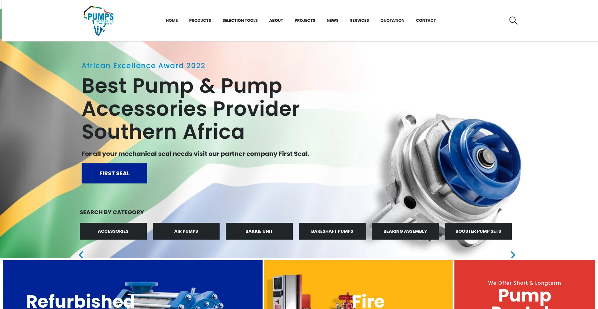 Website screenshot of Pumpsforafrica.co.za