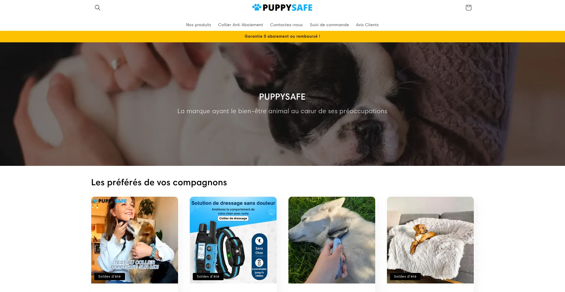Website screenshot of Puppy-safe.fr
