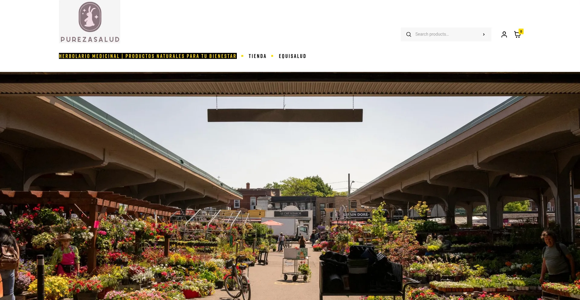 Website screenshot of Purezasalud.com