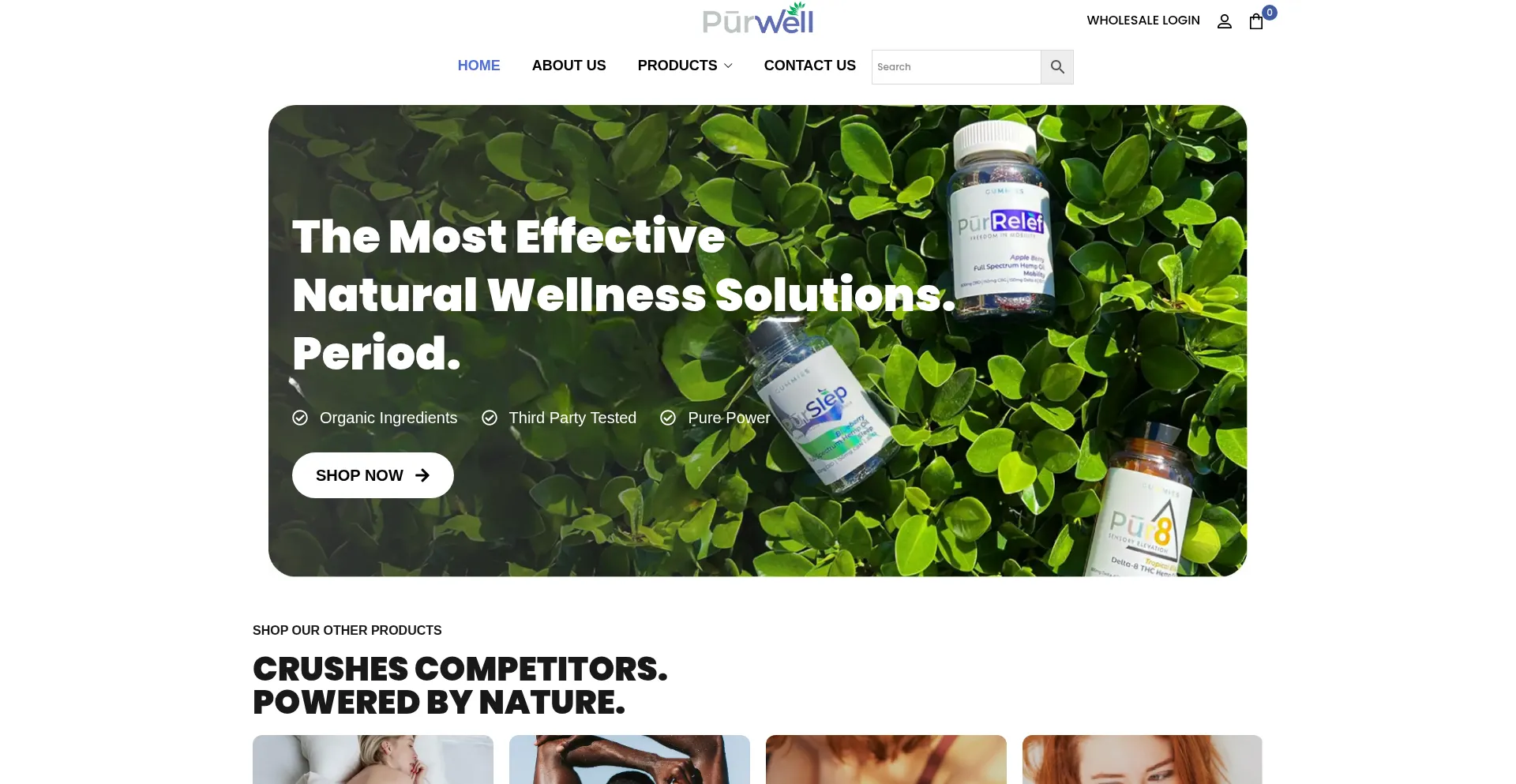 Purwell.com Screenshot