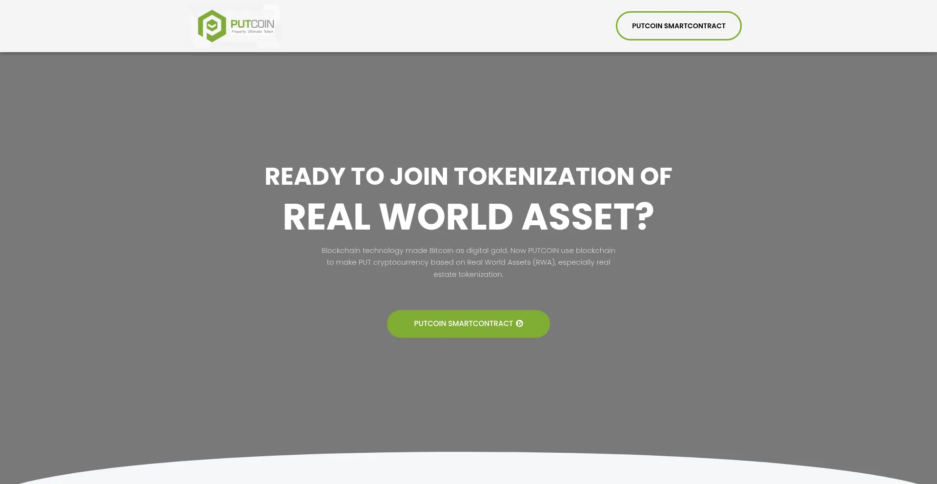 Website screenshot of Putcoin.pro