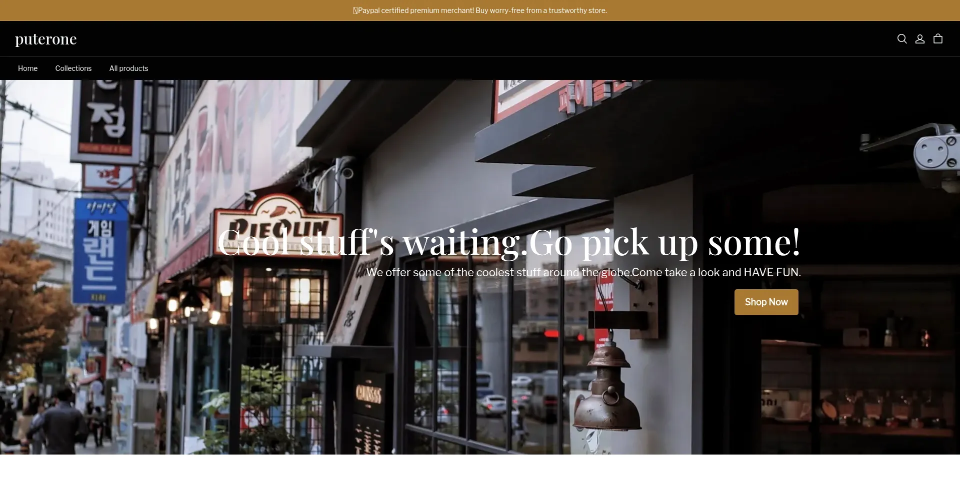 Website screenshot of Puterone.com