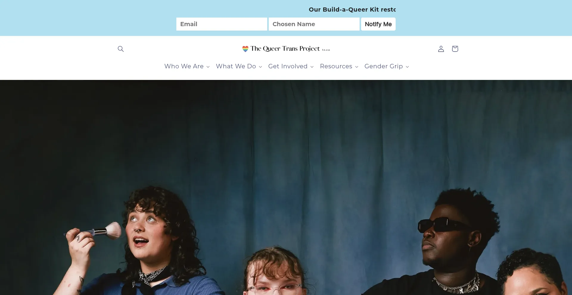 Website screenshot of Queertransproject.org