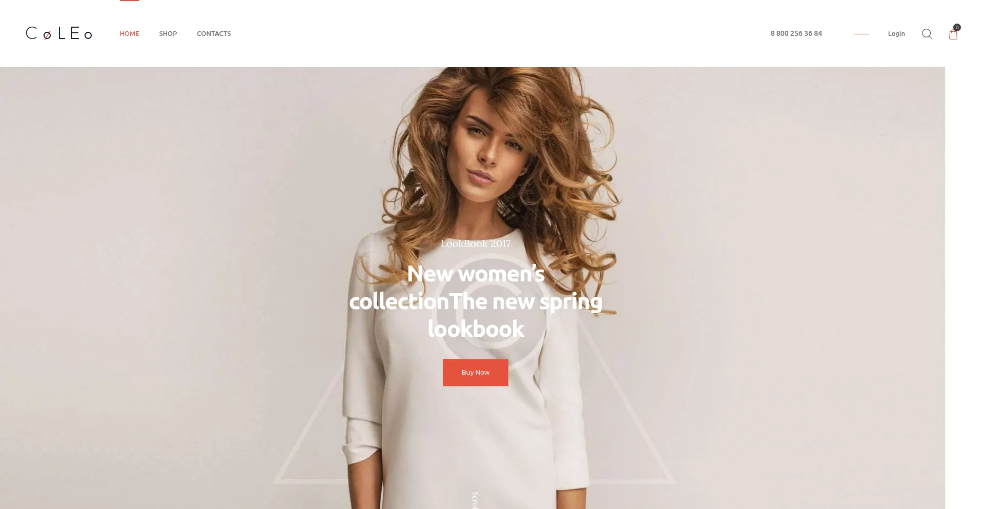Website screenshot of Rapidfashion.top